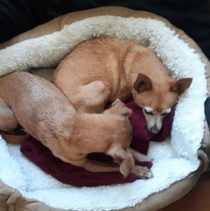 Meet your Posher, Krista